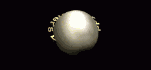 Gif festa del pap�
