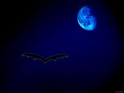 Sfondi di Halloween