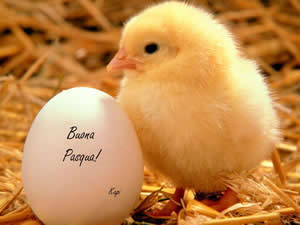 immagini pasqua