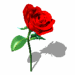 Gif San Valentino